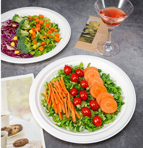 12" Round Premium Disposable Bagasse Plates  - 50qty