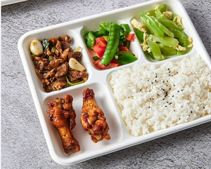 12" 5 CP Round Premium Disposable Bagasse Plates  - 50qty
