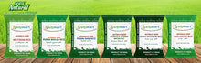 Load image into Gallery viewer, Premium Seeraga Samba Rice - 10 Lbs